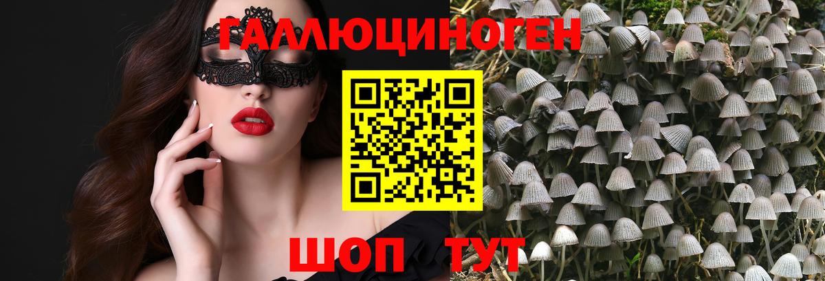 где купить наркоту  Вход с VPN  Нефтекамск  Псилоцибиновые грибы прущие грибы 